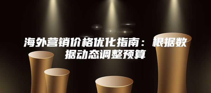 海外营销价格优化指南：根据数据动态调整预算
