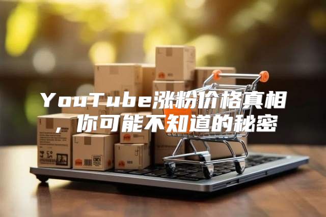 YouTube涨粉价格真相，你可能不知道的秘密