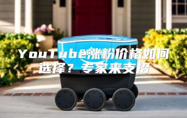 YouTube涨粉价格如何选择？专家来支招