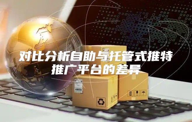 对比分析自助与托管式推特推广平台的差异