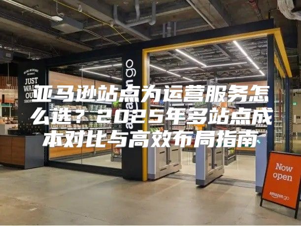 亚马逊站点为运营服务怎么选？2025年多站点成本对比与高效布局指南