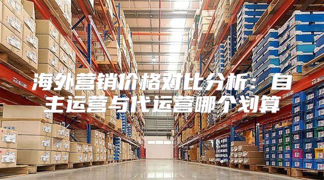 海外营销价格对比分析：自主运营与代运营哪个划算