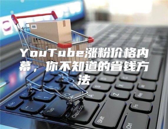 YouTube涨粉价格内幕，你不知道的省钱方法