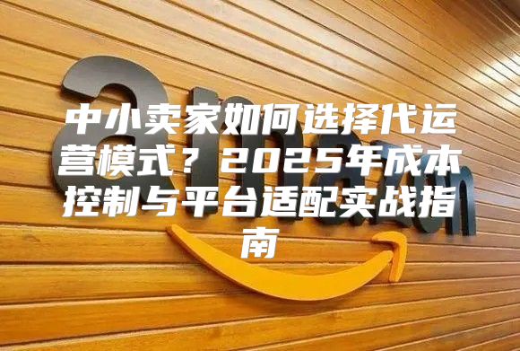 中小卖家如何选择代运营模式？2025年成本控制与平台适配实战指南