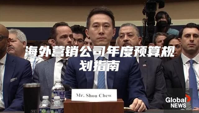 海外营销公司年度预算规划指南