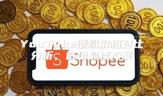 YouTube涨粉价格对比分析，选出最佳方案