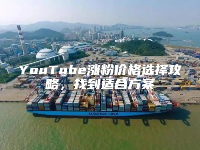 YouTube涨粉价格选择攻略，找到适合方案