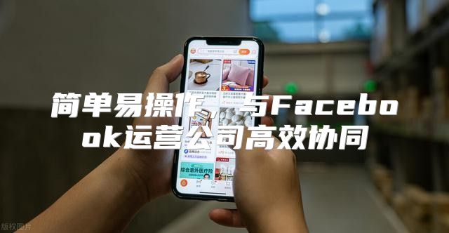 简单易操作，与Facebook运营公司高效协同
