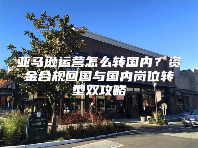 亚马逊运营怎么转国内？资金合规回国与国内岗位转型双攻略