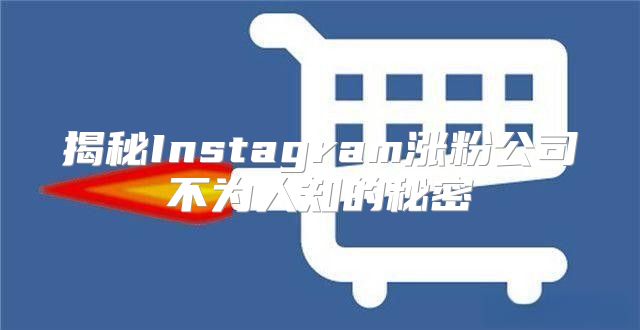 揭秘Instagram涨粉公司不为人知的秘密