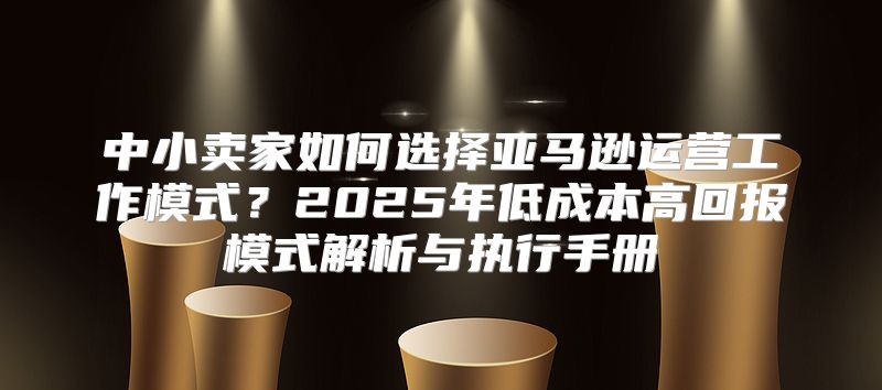 中小卖家如何选择亚马逊运营工作模式？2025年低成本高回报模式解析与执行手册