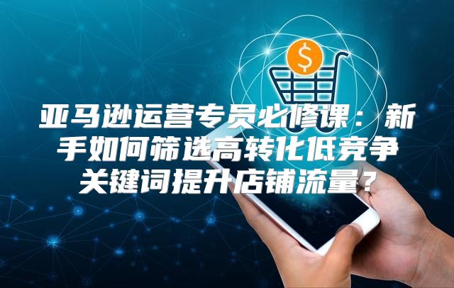 亚马逊运营专员必修课：新手如何筛选高转化低竞争关键词提升店铺流量？